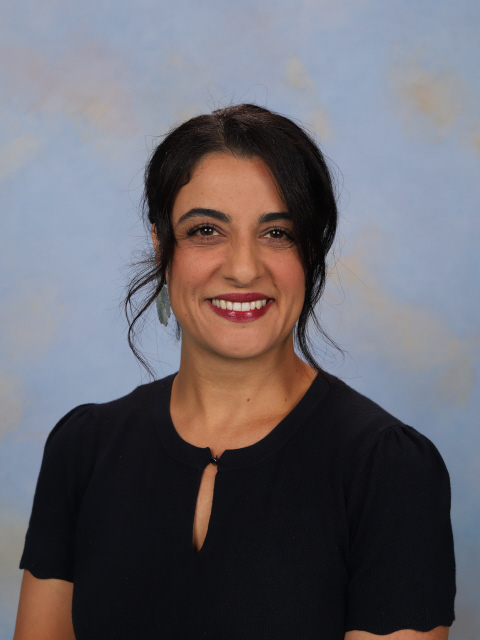 Bahareh Javidi